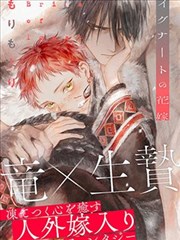 金秘书为何那样